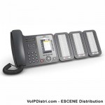 ESCENE VoIP phones vorgestellt, mit HD Voice & HD Color Display jetzt bei VoIPDistri.com