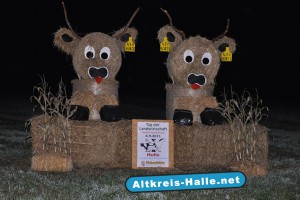 Tag der Landwirtschaft Schloß Tatenhausen am 4.9.2011 Halle Westfalen