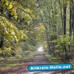 Die Hachhowe Richtung Tatenhauser Straße in Halle Westfalen