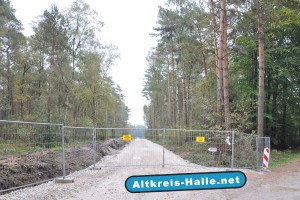 A33 Einschlagschneisen am Schnattweg in Halle/Künsebeck