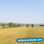 Aktionsbündnis A 33 sofort erwartet 2.000 Demonstranten in Halle