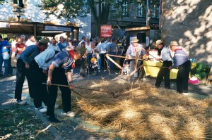 Getreide dreschen nach alter Bauernkunst vor mehr als 100 Jahren. Foto: Verkehrsverein Borgholzhausen