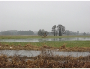 Brachland an der Rebhuhnstrasse in Versmold. Foto: Stadt Versmold 