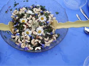 Beinwellblüten im Wildkräuter-Salat mit Margeriten, Beinwell, Gänseblümchen und Giersch beim Wildkräuter-Kochkurs . Foto: Ulrike Sprick
