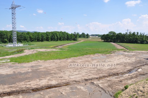 A33_Baumfaellung_trotz_Sperrzeit